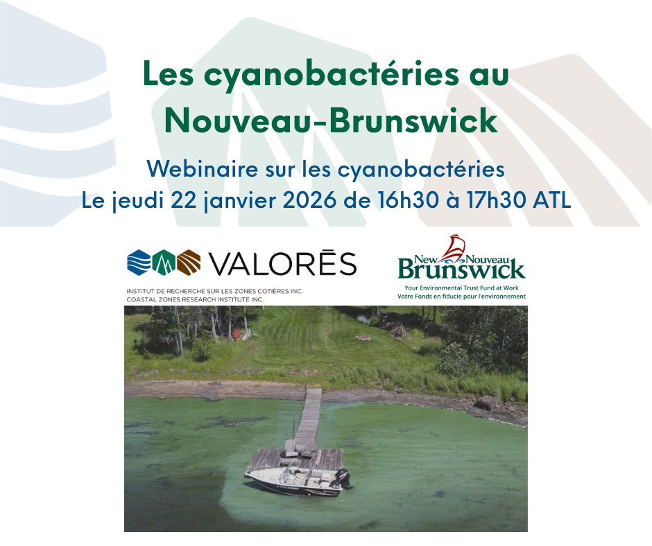 Cyanobacteria in New Brunswick